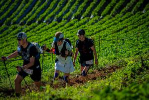 BIB: 7396
                            <button type="button" onclick="openModal(19161095)" class="btn btn-primary btn-sm float-right btn-popup" data-toggle="modal" data-target=".modal-high-quality">
                        <i class="fas fa-shopping-cart"></i> Add to Cart
                    </button>
                                            <button type="button" onclick="isThisMe(19161095, true)" class="btn btn-success btn-sm float-right btn-popup btn-isme hidden" data-toggle="tooltip" data-placement="bottom" title="นี่คือรูปของคุณใช่ไหม คลิกที่นี่เพื่อเอาเข้าอัลบั้ม">
                        <i class="fas fa-plus"></i> Add to album
                    </button>
                    <button type="button" onclick="isThisMe(19161095, false)" class="btn btn-warning btn-sm float-right btn-popup btn-isnotme hidden">
                        <i class="fas fa-ban"></i> Remove from album
                    </button>